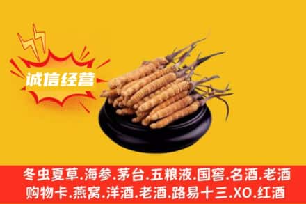 益阳安化县回收冬虫夏草
